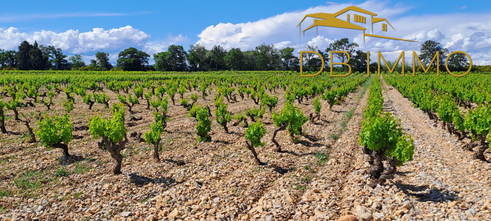 Vente Terrain Parcelles de vigne sur 5,59 ha Vaucluse / Drôme (Cairanne - Rochegude - Ste Cécile des Vignes et Suze la Rouss Ste cecile les vignes