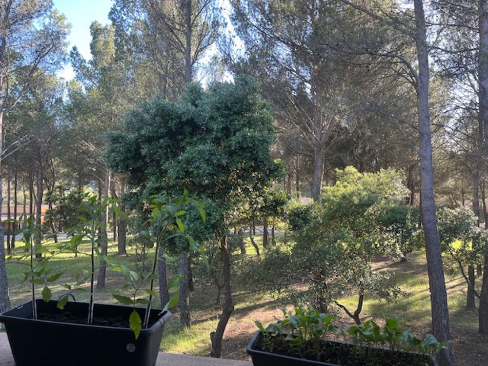 Vente Appartement SAUMANE DE VAUCLUSE dans résidence sécurisée, au calme joli appartement T2 avec terrasse. Saumane de vaucluse