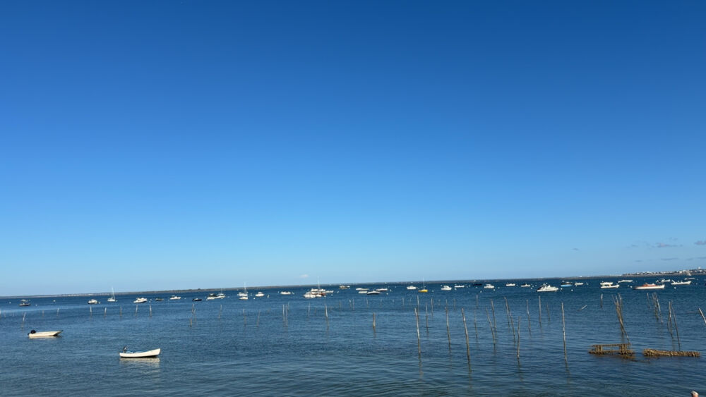 Vente Maison Cap Ferret - L'Herbe Lege cap ferret