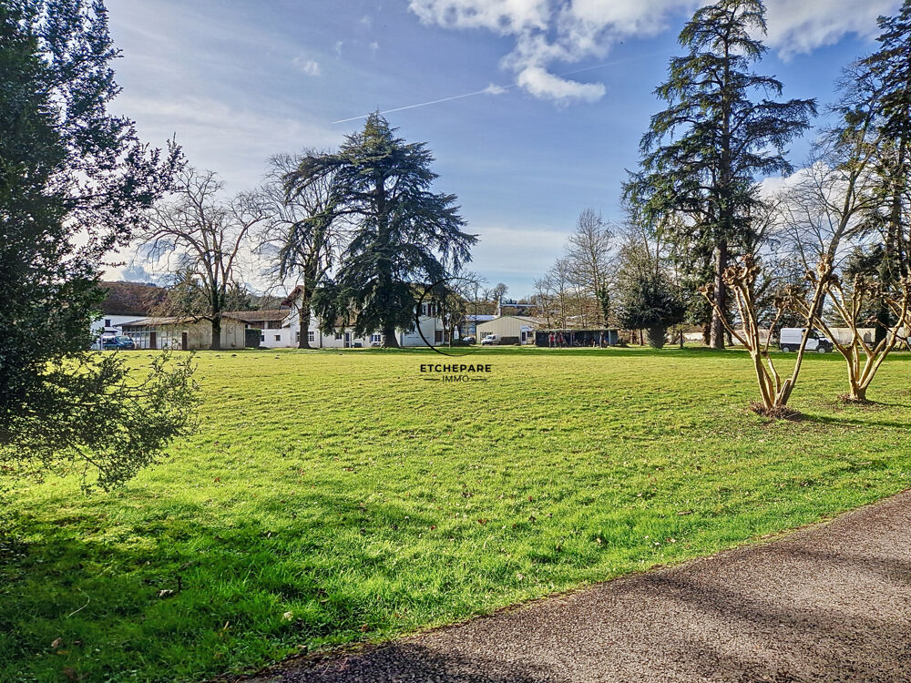  vendre  Proprit/chteau Espiute (64390)