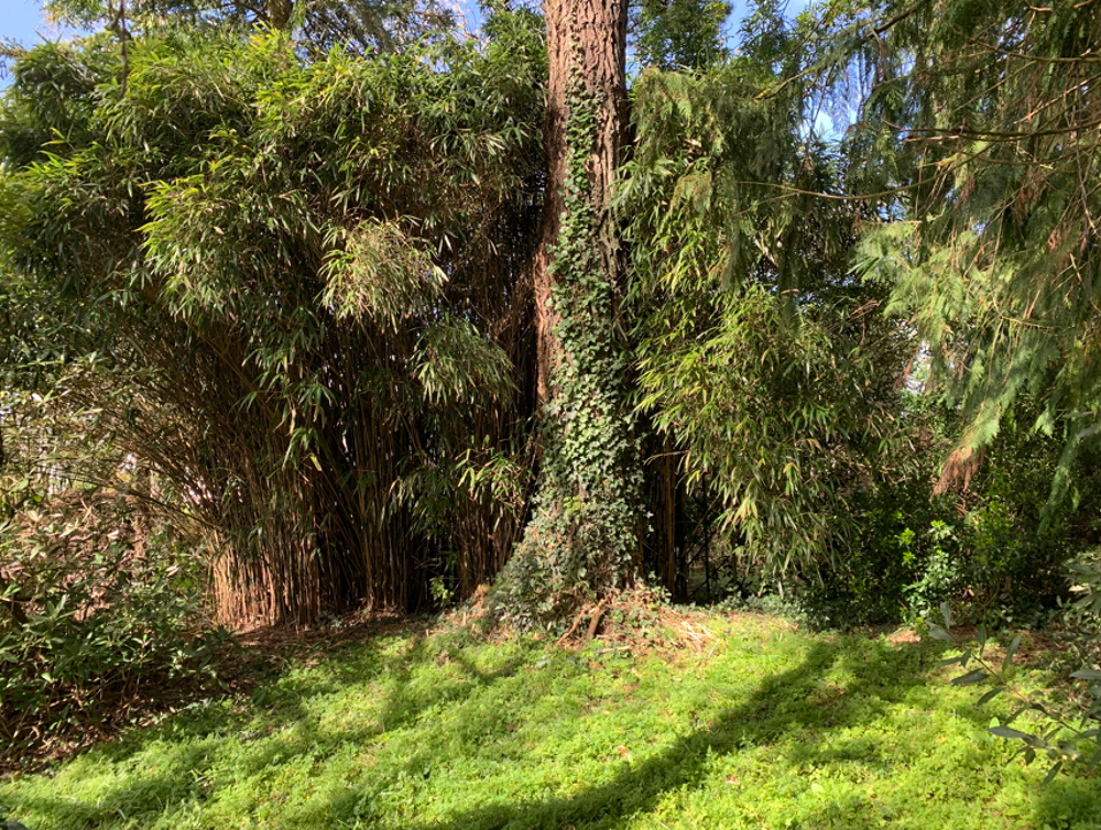 Vente Terrain BRECH - TERRAIN CONSTRUCTIBLE - libre de constructeur Brech