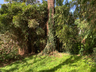 Vente Terrain BRECH - TERRAIN CONSTRUCTIBLE - libre de constructeur Brech
