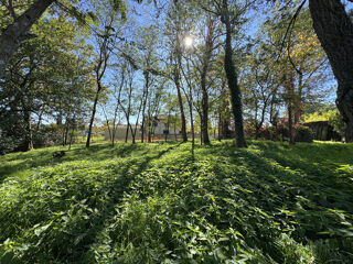  Terrain à vendre 854 m²