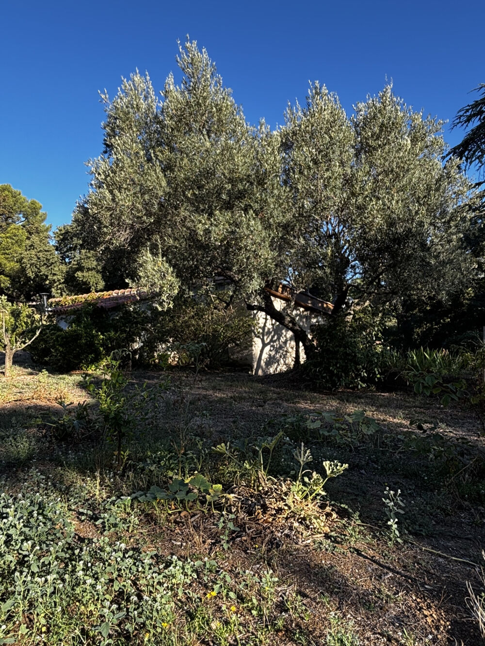 Vente Maison Allauch - Maison de plain-pied extension possible - 120 m2 - secteur Enco de Botte Allauch
