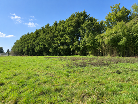 Terrain constructible de 3378m2 99500 33240 Lugon et l ile du carnay