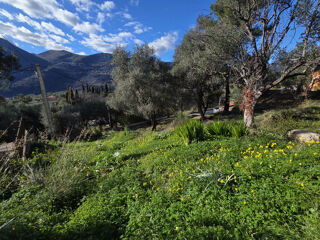  Terrain � vendre 1000 m�