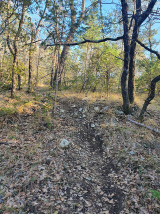  Terrain � vendre 20000 m�