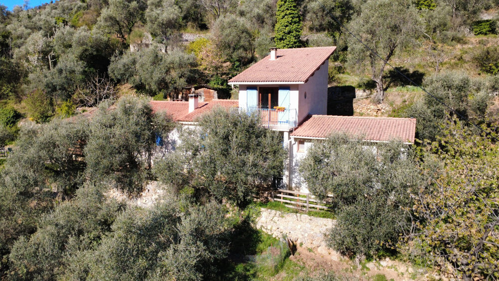 Vente Maison Maison dans les oliviers Breil sur roya