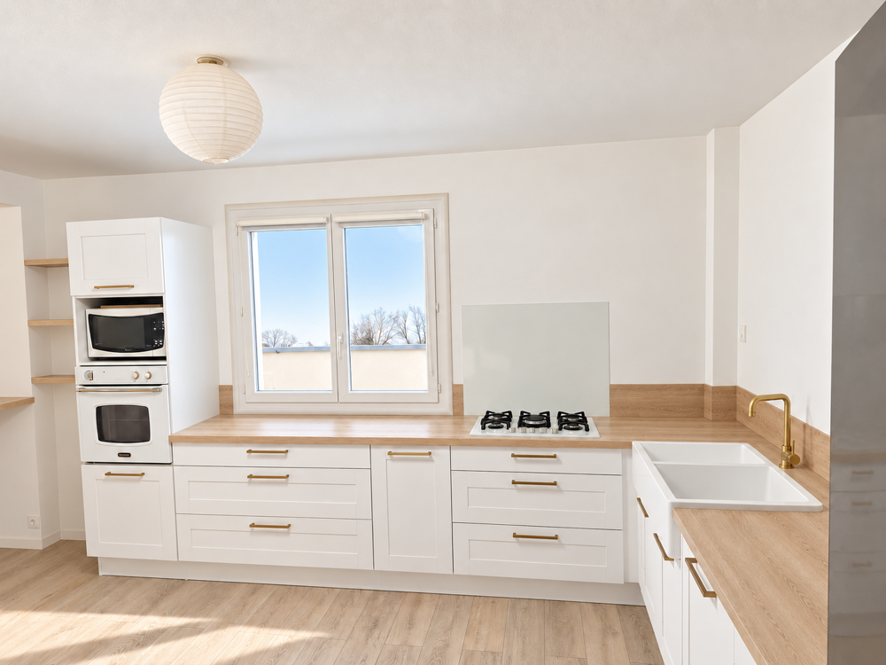 Location Appartement Grand appartement Chanas