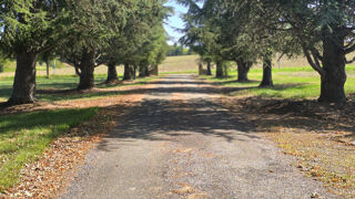  Propri�t�/ch�teau � vendre 12 pi�ces 400 m�