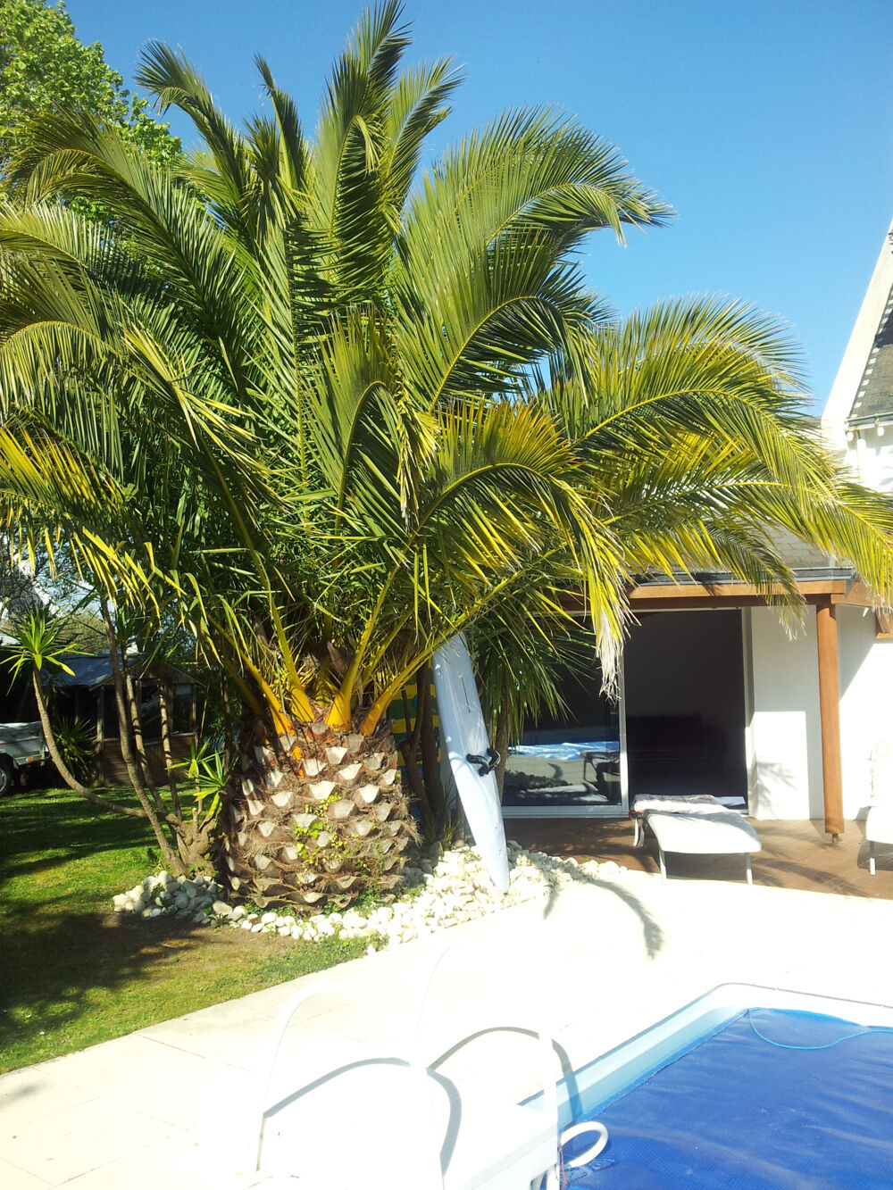 à vendre  Maison Arzon (56640)
