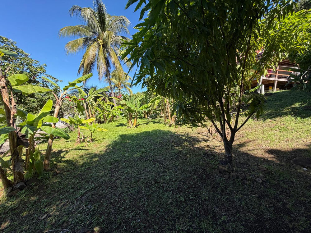 � vendre  Maison Deshaies (97126)