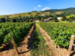  Terrain � vendre 7256 m�