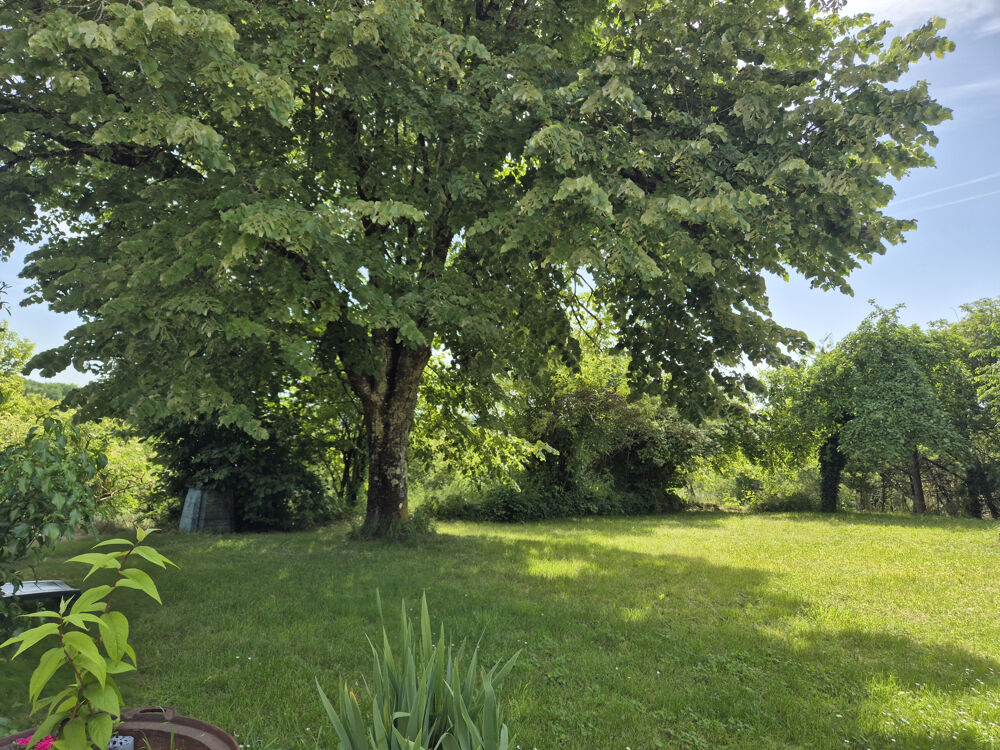 Dordogne - Biras - Maison avec deux logements - Total 277 m2 - 7 chambres - terrain clos - piscine - vue campa