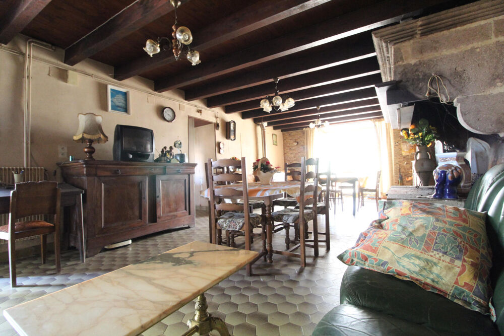 Vente Maison Grande propriété de 235 m2 à rénover   Terrain de plus de 1 500 m2, avec dépendances Mounes prohencoux