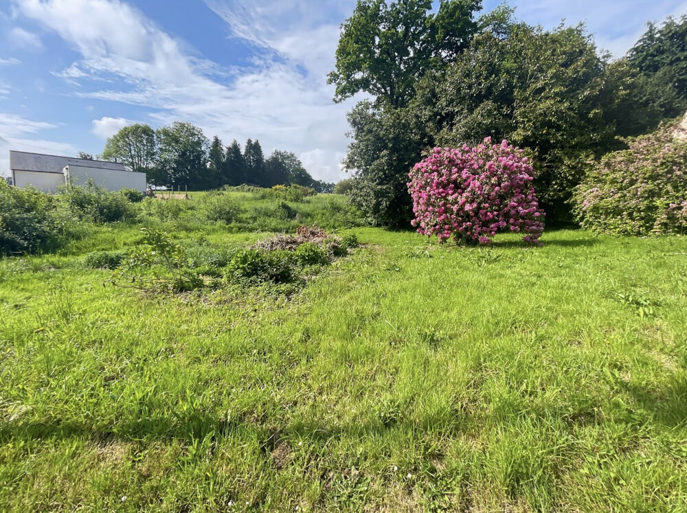 Vente Terrain RARE  À LA VENTE : Terrain constructible au cœur de LIZIO Lizio