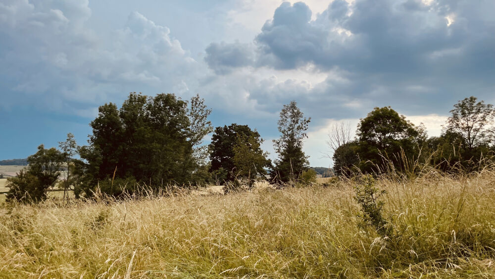 Vente Terrain Terrain de loisirs de 2880 m2 avec vue dégagée sur la nature 18 000 € Provency