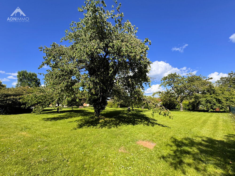 Vente Terrain Parcelle Constructible 952 m2 Collonges