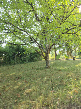  Maison � vendre 6 pi�ces 137 m�