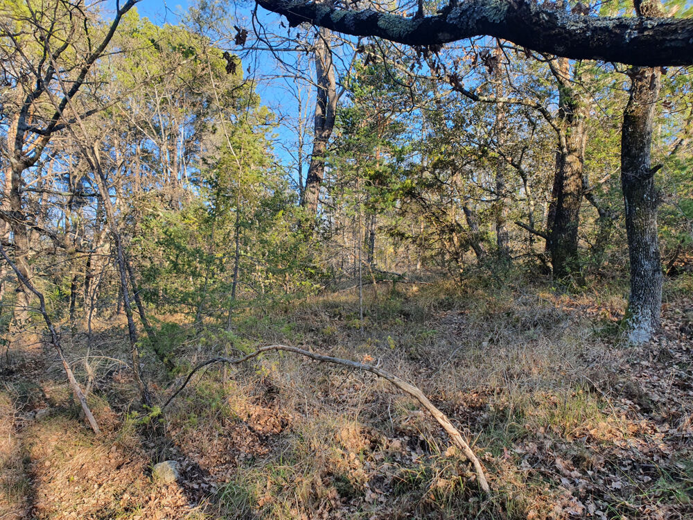 Vente Terrain Terrain de loisirs Chateaudouble