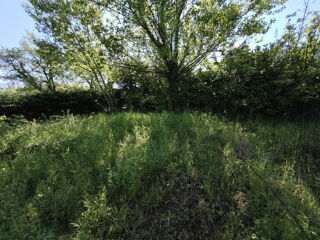  Terrain à vendre 607 m²