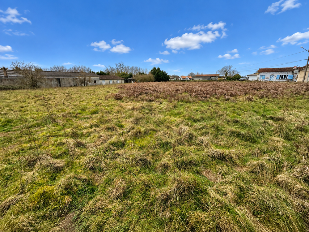 Vente Terrain Terrain constructible de 5280m2 St aubin de blaye