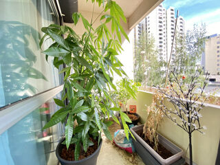  Appartement  vendre 4 pices 96 m