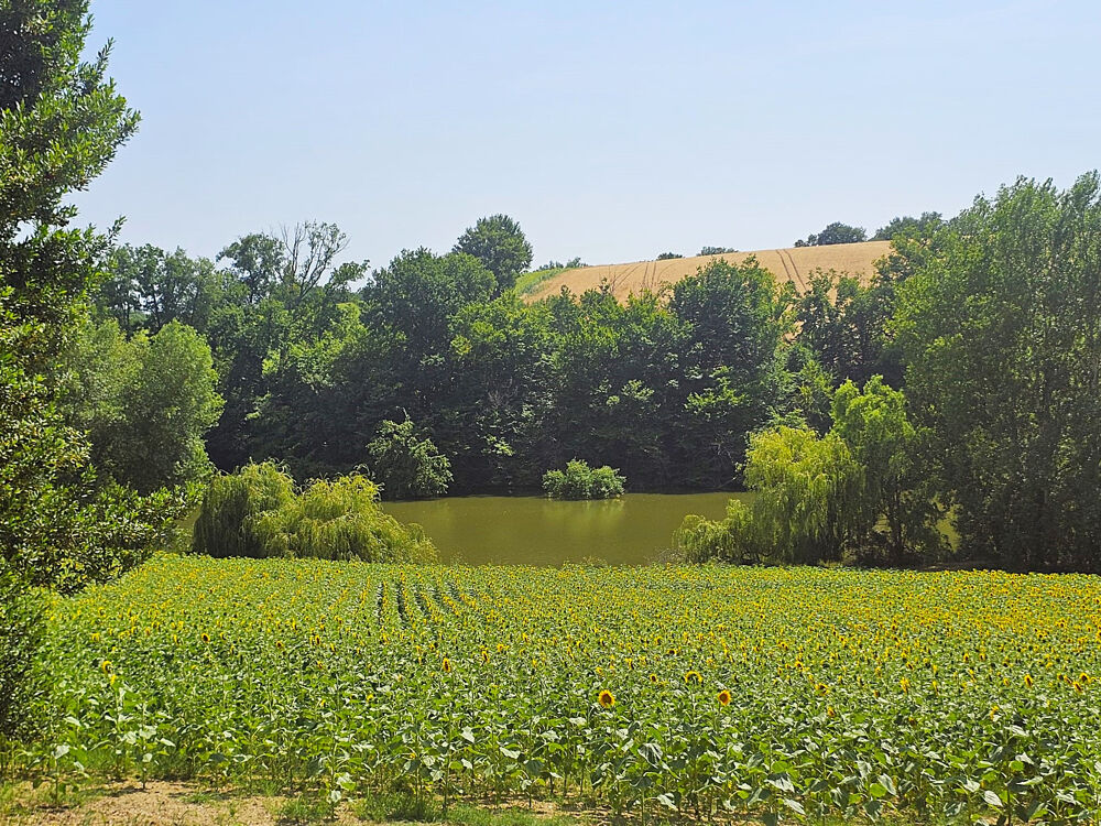 � vendre  Maison L�dat (47300)