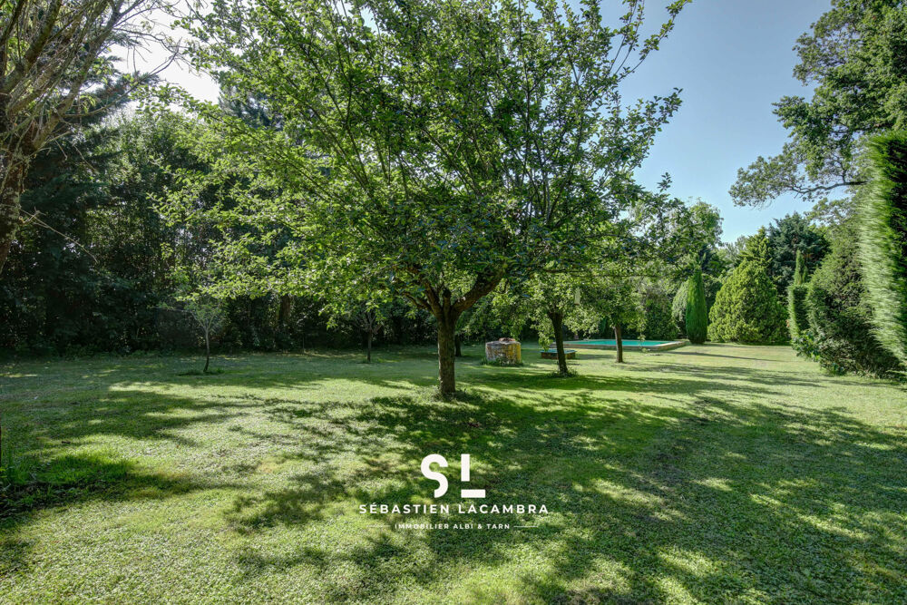  vendre  Proprit/chteau Rivires (81600)