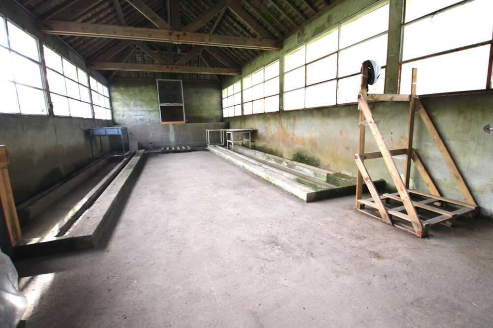Vente Maison Maison avec dépendances et 10 000 m2 de terrain agricole. St ave