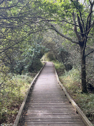  Terrain � vendre 1200 m�