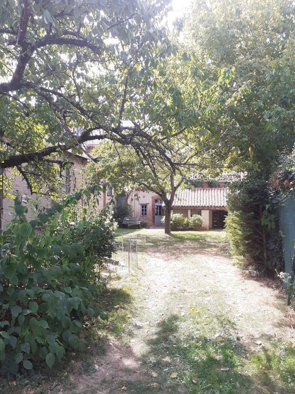 Vente Maison Maison de ville 225 m2   5 chambres   Jardin + dépendance   Centre Montauban Montauban