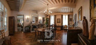  Propriété/château à vendre 15 + pièces 445 m²