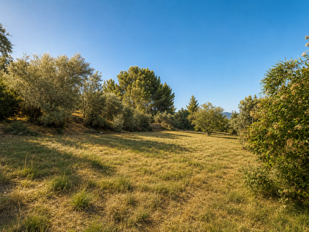 à vendre  Maison Aubagne (13400)