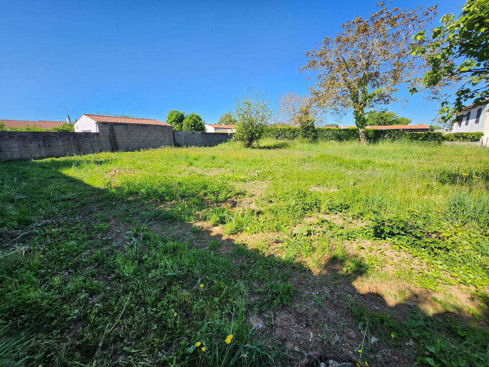 Vente Terrain Terrain constructible totalement clos non viabilisé Les magnils reigniers