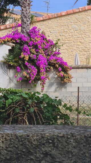  Maison � vendre 5 pi�ces 170 m�