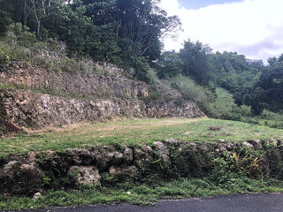  Terrain � vendre 1000 m�