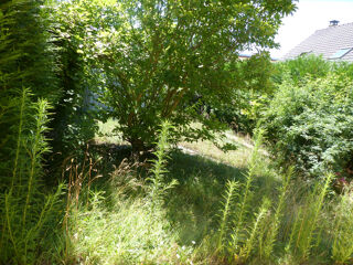 Terrain  vendre 500 m