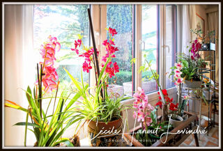  Maison � vendre 7 pi�ces 165 m�