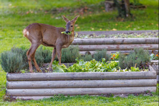  Maison  vendre 12 pices 284 m