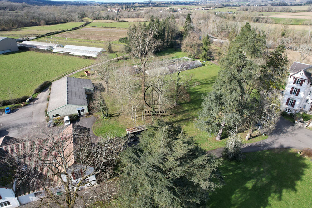  vendre  Proprit/chteau Espiute (64390)