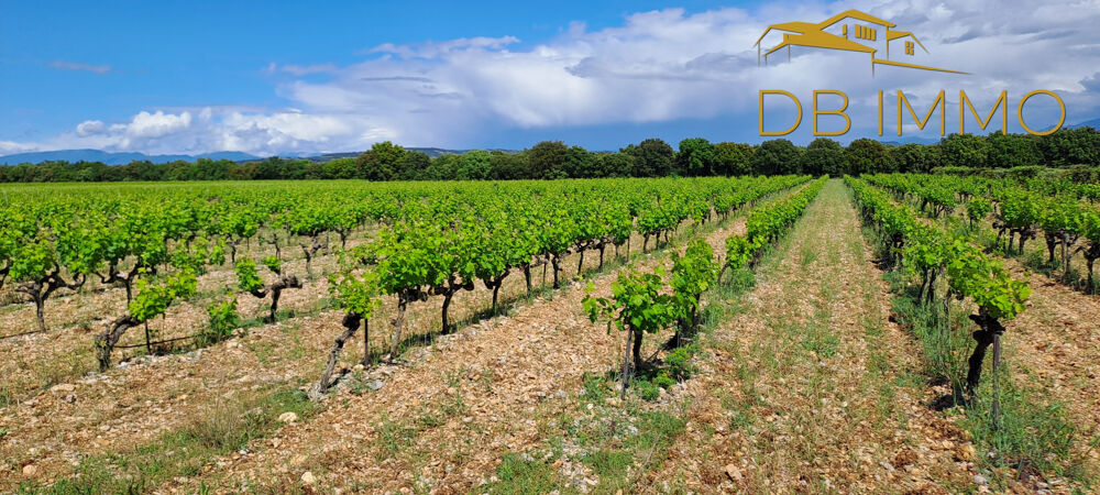Vente Terrain Parcelles de vigne sur 5,59 ha Vaucluse / Drôme (Cairanne - Rochegude - Ste Cécile des Vignes et Suze la Rouss Ste cecile les vignes