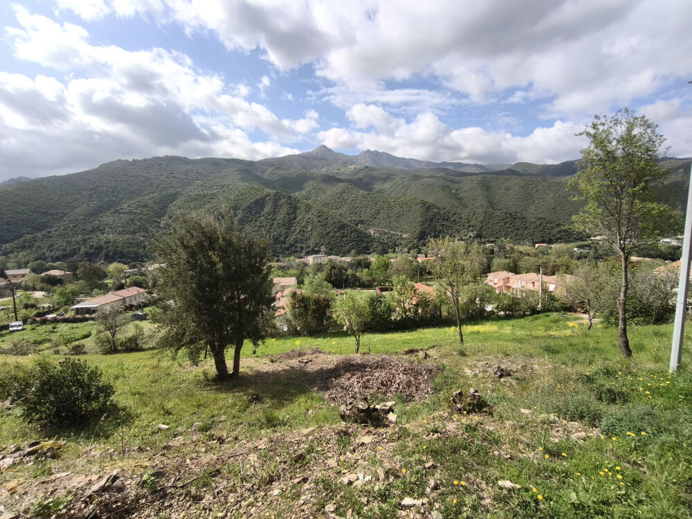 Vente Terrain Terrain constructible de 2300m2 sur Ponte Novu Castello di rostino