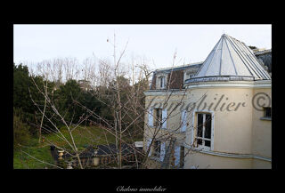  Propriété/château à vendre 15 + pièces 635 m²