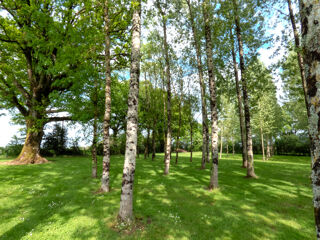  Terrain � vendre 13512 m� Nieul le dolent