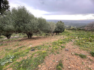  Terrain  vendre 6825 m