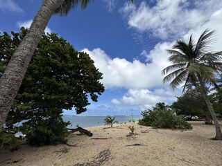  Appartement � vendre 1 pi�ce 34 m�