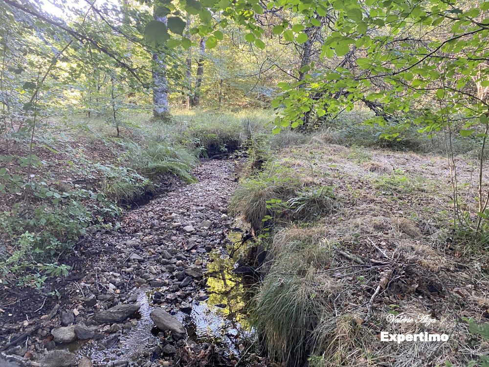 Vente Terrain Le Soulié :Terrain de 16ha Le soulie