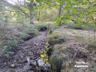  Terrain à vendre 161158 m²