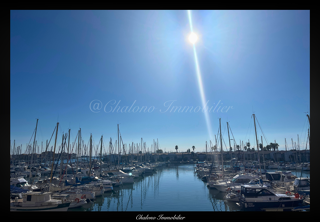  Duplex/triplex � vendre 2 pi�ces 31 m�